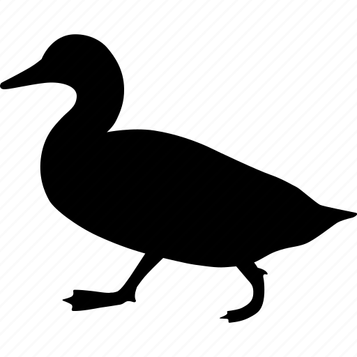 Duck, walking, waterfowl, water, fowl, walk icon - Download on Iconfinder