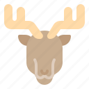 animal, antlers, reindeer, wildlife