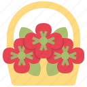 basket, poppy, flower, anzac, memorial, anzac day, floral