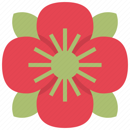 Poppy, flowerblossom, memorial, anzac, anzac day icon - Download on Iconfinder