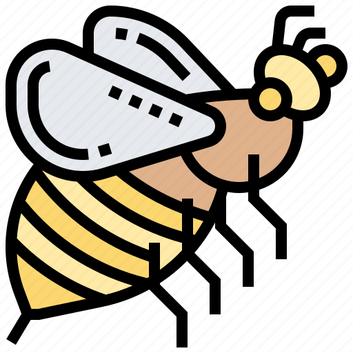 Bee, bumble, fly, honey, insect icon - Download on Iconfinder