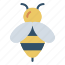 bee, animal, insect, beekeeping, apiary, apiarist, apiculture