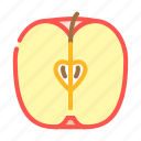 apple, cut, half, red, food, green