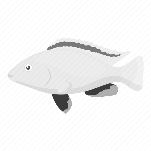 Animal, aquarium, exotic, fish, pet, tropic, view icon - Download on Iconfinder