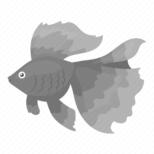 Animal, aquarium, exotic, fish, tropic, valelecht, view icon - Download on Iconfinder