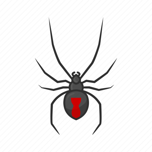 Animal, arachnid, black widow, invertebrate, redback spider, small spider, spider icon - Download on Iconfinder
