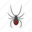 animal, arachnid, black widow, invertebrate, redback spider, small spider, spider 
