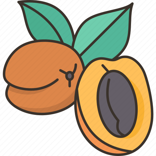 Apricot, prunus, fruit, tasty, plant icon - Download on Iconfinder