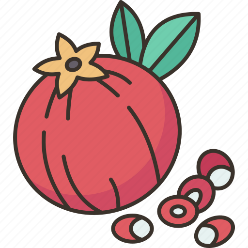 Pomegranate, fruit, juicy, vitamin, agriculture icon - Download on Iconfinder