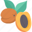 apricot, prunus, fruit, tasty, plant 