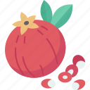 pomegranate, fruit, juicy, vitamin, agriculture