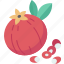pomegranate, fruit, juicy, vitamin, agriculture 