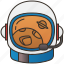astronaut, head, helmet, protection, radiation 