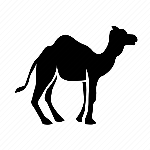 Arabian, camel, desert icon icon - Download on Iconfinder