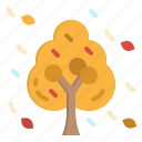 autumn, fall, foliage, leaf, tree