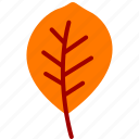 leaf, leaves, maple, autumn, fall, red, decoration