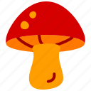 mushroom, autumn, fall, natural, food, red, season
