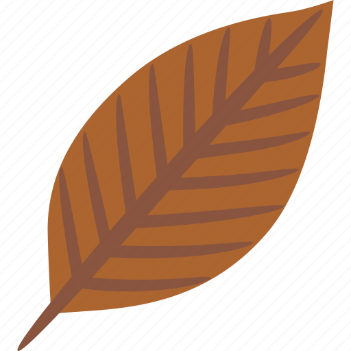 Ash, leaf, autumn, fall icon - Download on Iconfinder