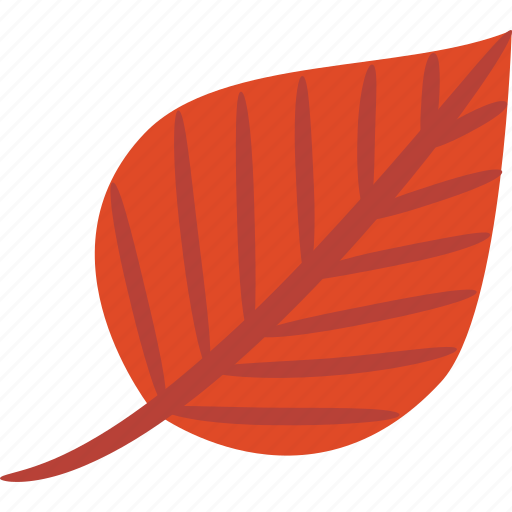 Beech, leaf, autumn, fall icon - Download on Iconfinder