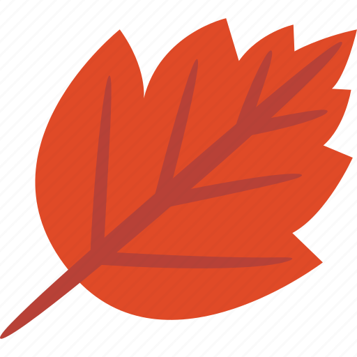 Birch, leaf, autumn, fall icon - Download on Iconfinder