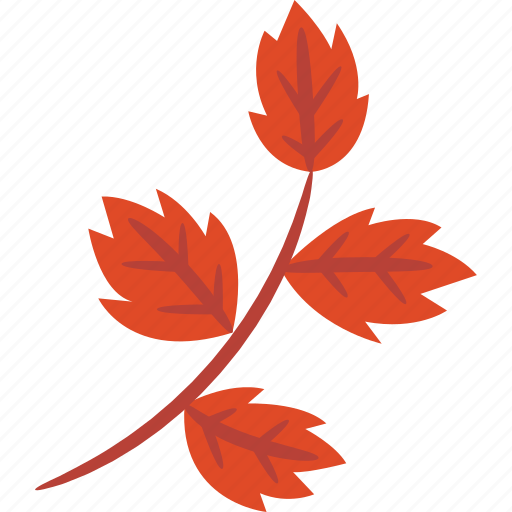 Birch, leafs, leaf, autumn, red icon - Download on Iconfinder