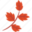 birch, leafs, leaf, autumn, red 