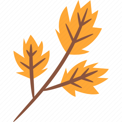 Birch, leafs, leaf, autumn, yellow icon - Download on Iconfinder