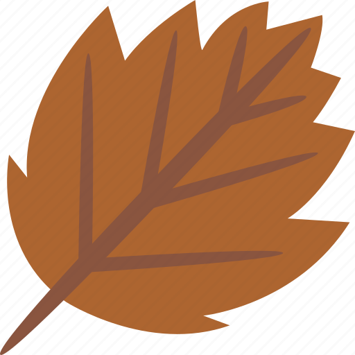 Leaf, brown, autumn, fall, tree icon - Download on Iconfinder
