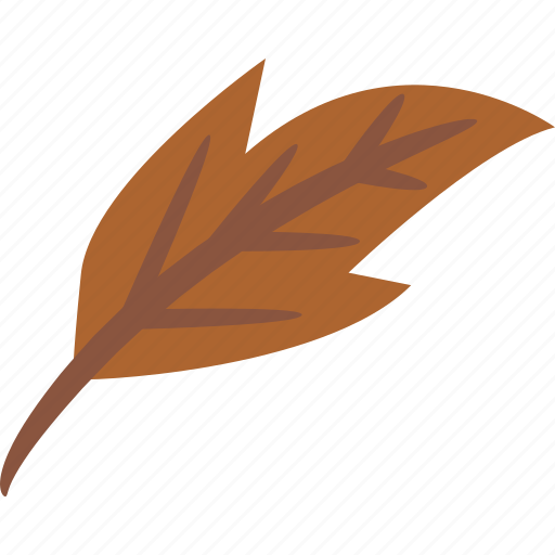 Leaf, brown, yellow, autumn, fall icon - Download on Iconfinder
