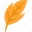 leaf, orange, brown, autumn, fall 