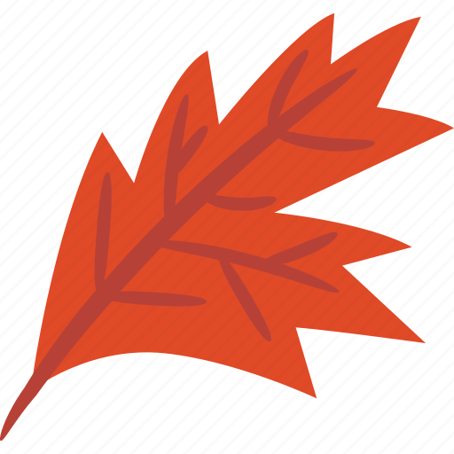 Maple, leaf, red, autumn icon - Download on Iconfinder