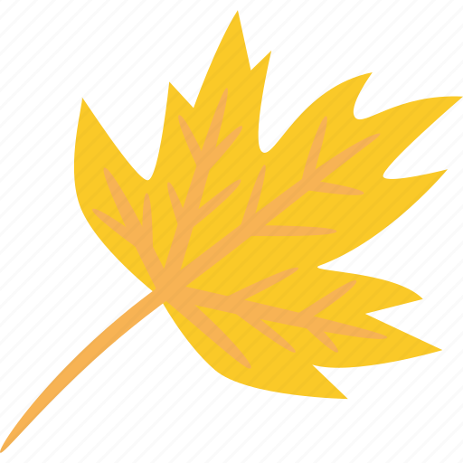 Maple, leaf, yellow, autumn icon - Download on Iconfinder