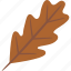 oak, leaf, brown, autumn 