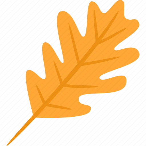 Oak, leaf, orange, autumn icon - Download on Iconfinder