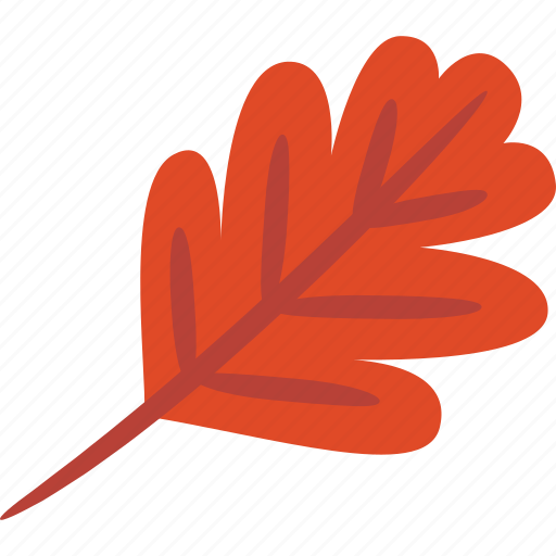 Oak, leaf, red, autumn icon - Download on Iconfinder