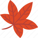 sweet, gum, leaf, red, autumn