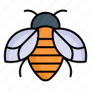 bumblebee, honey, honey bee, bee drawing, hive, cartoon bee, bee