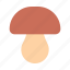mushroom, fungi, muscaria, fungus, healthy, food 