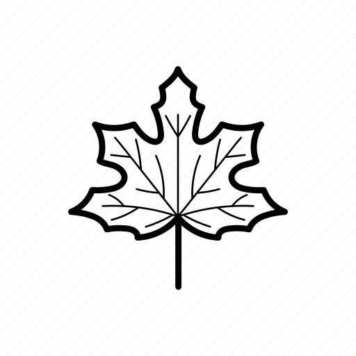 Sycamore, leaf, leaves, foliage, autumn, plant, nature icon - Download on Iconfinder