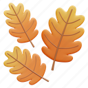 autumn, leaves, leaf, nature 