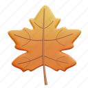 maple, leaves, leaf, autumn 