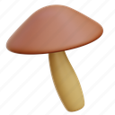 mushroom, fungi, fungus, mushrooms, food 