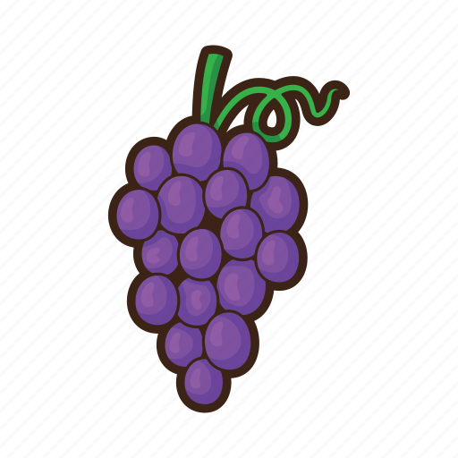 Autumn, grape, fruit, food, fresh, fruits, grapes icon - Download on Iconfinder