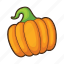 autumn, pumpkin, fruit, halloween, food, vegetable 