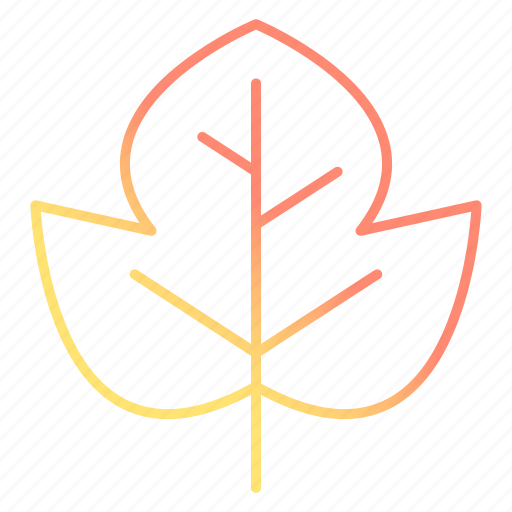 Autumn, beech, fall, leaf, spring icon - Download on Iconfinder