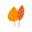 leaves, autumn, leaf, forest, garden