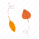 leaves, nature, forest, autumn, leaf