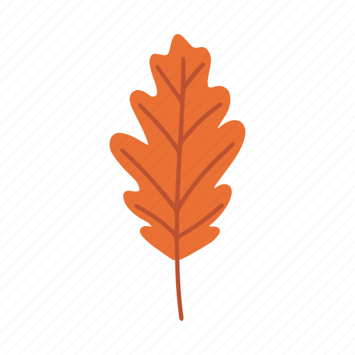 Oak, leaf, garden, plant, autumn, eco, nature icon - Download on Iconfinder