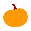 pumpkin, fruit, halloween, food, vegetable, autumn 