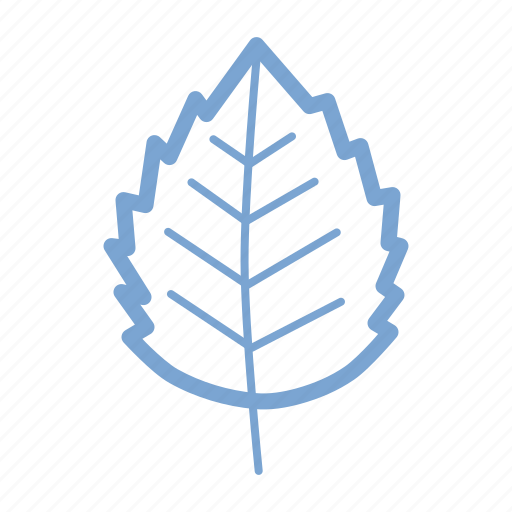 Autumn, birch, elm, fall, leaf, nature, season icon - Download on Iconfinder